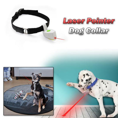 Laser Pointer Pet Collar For Your Dog or Cat