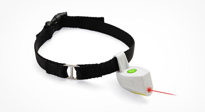 Laser Pointer Pet Collar For Your Dog or Cat